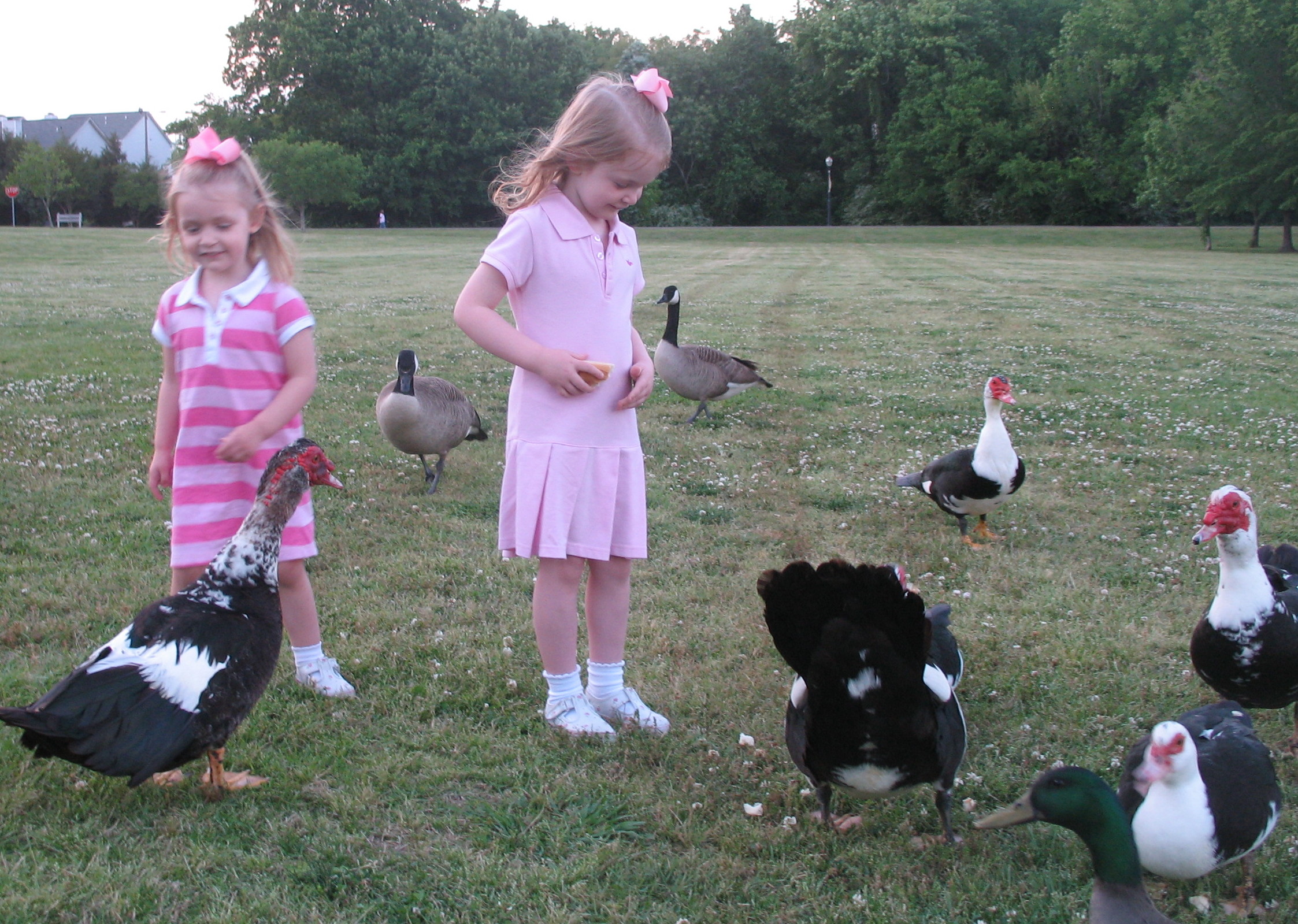 2007_04_26 Cate and Jane feeding ducks at Blount Park.jpg